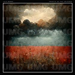 Fragile as the Universe - Luis Berra