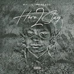 Life Is What You Make It - Wallie the Sensei