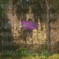 WOLNO - LXS, Lena Osińska, STEEZ83