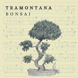 Bonsai - Tramontana