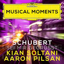 Schubert: Sei mir gegrüßt, D. 741 (Transcr. for Cello and Piano) - Kian Soltani, Aaron Pilsan