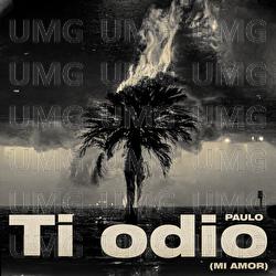 TI ODIO (MI AMOR) - PAULO