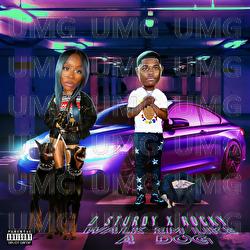 Walk em Like A Dog - D Sturdy, Fakebitcheshero