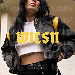 Those Days Are Over - WILSN