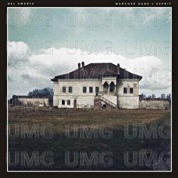 Marcher dans l'Esprit - Nel Swerts