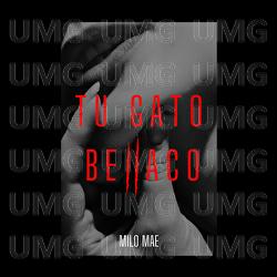 Tu Gato Bellaco - Milo Mae