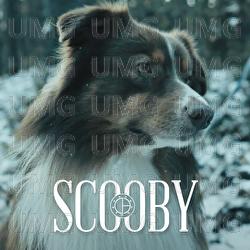 Scooby - Oliver Olson, Gibbs, Dopehouse