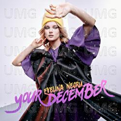 Your December - Evelina Negru