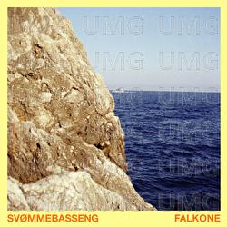 Falkone - Sv&oslash;mmebasseng