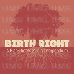 Birthright: A Black Roots Music Compendium - Various Artists