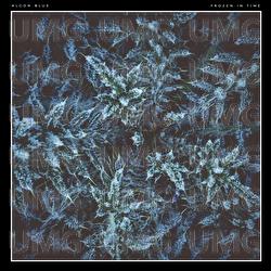 Frozen in Time - Alcon Blue