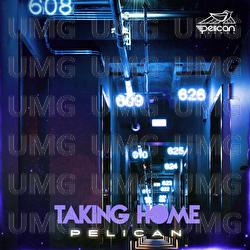 Taking Home - Pelican