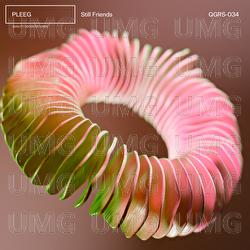 Still Friends - PLEEG