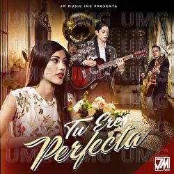 Tu Eres Perfecta - Pantera De Culiacan Sinaloa