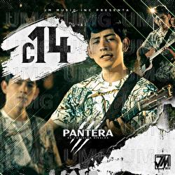 C14 - Pantera De Culiacan Sinaloa