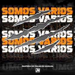 Somos Varios - Pantera De Culiacan Sinaloa