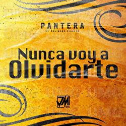 Nunca Voy A Olvidarte - Pantera De Culiacan Sinaloa