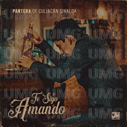 Te Sigo Amando - Pantera De Culiacan Sinaloa