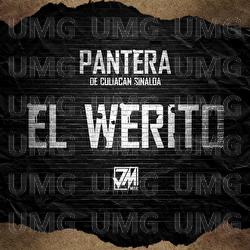 El Werito - Pantera De Culiacan Sinaloa