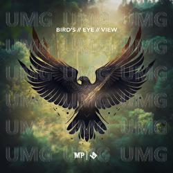 Bird's Eye View - Matthew Parker, Jacob Stanifer
