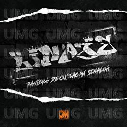 Linaje - Pantera De Culiacan Sinaloa