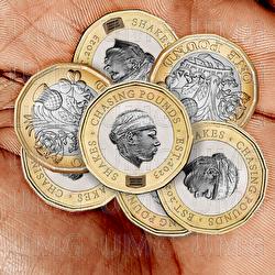 Chasing Pounds - Shakes