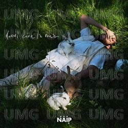 Dovrei dire la mia - N.A.I.P., Galea