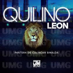 Quilino Leon - Pantera De Culiacan Sinaloa