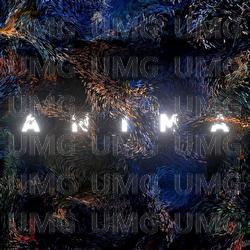 Anima - Rysy