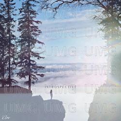 INTROSPECTIVE - klar