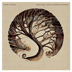 Unfolding - Diana Yukawa, Akira Kosemura