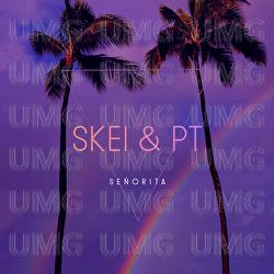 Señorita - Skei & PT