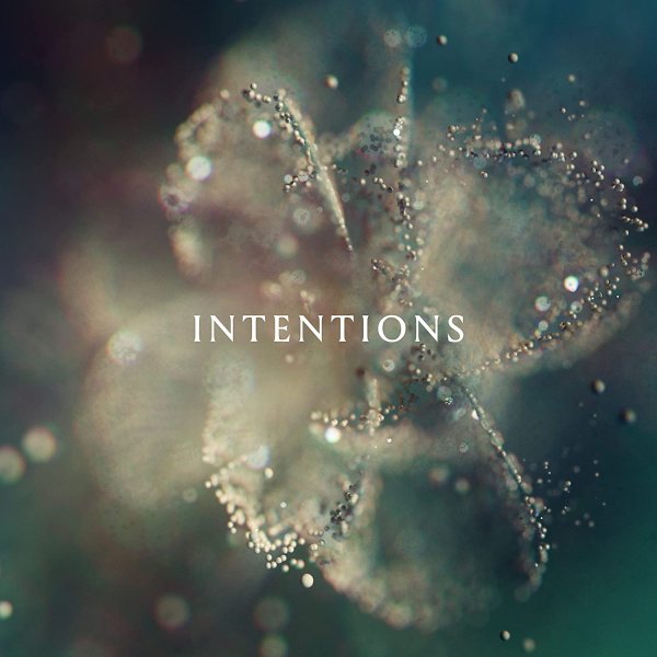 Intentions - ANNA