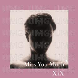 Miss You Much - XiX