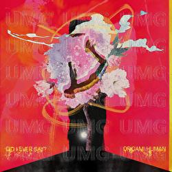 Did I Ever Say? - Origami Human