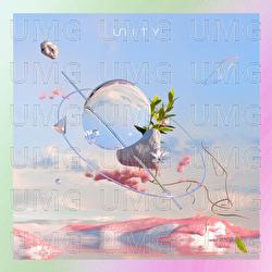 Unity - Mrs. GREEN APPLE