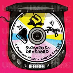 A Thousand Miles - Vanessa Carlton