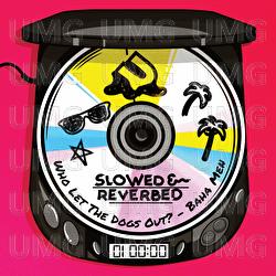 Who Let The Dogs Out? - Baha Men