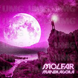 MANDRAGORA - MOLFAR