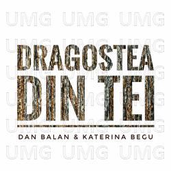 Dragostea Din Tei - Dan Balan, Katerina Begu