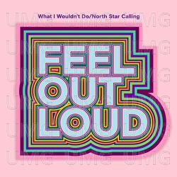 What I Wouldn't Do/North Star Calling - Feel Out Loud, 2Frères, 4Korners