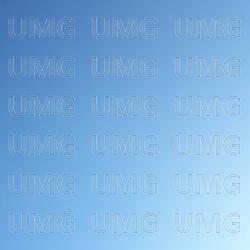 Skyfri himmel - Ringnes-Ronny, Stefaren