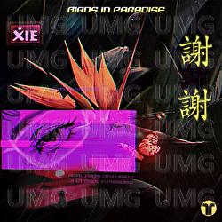 Birds In Paradise - XIE