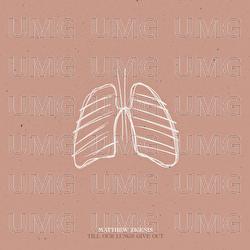 Till Our Lungs Give Out - Matthew Zigenis