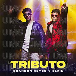 Tributo - Brandon Reyes y Elvin