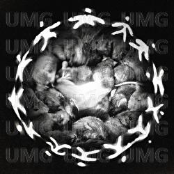 IN CERCHIO. - DANTE, Cipro