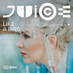 Like A Bird - DJ Brk, Udoo