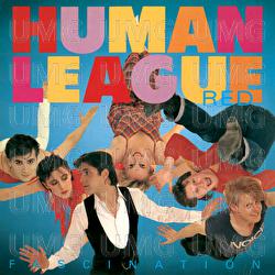 Fascination - The Human League