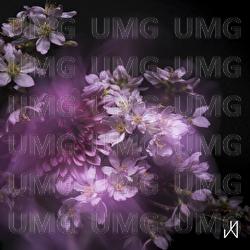 Sakura Sakura - Daigo Hanada