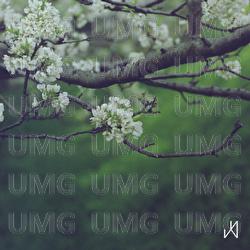 For Grandma - Daigo Hanada
